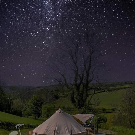Herons Retreat Llandysul Exterior foto
